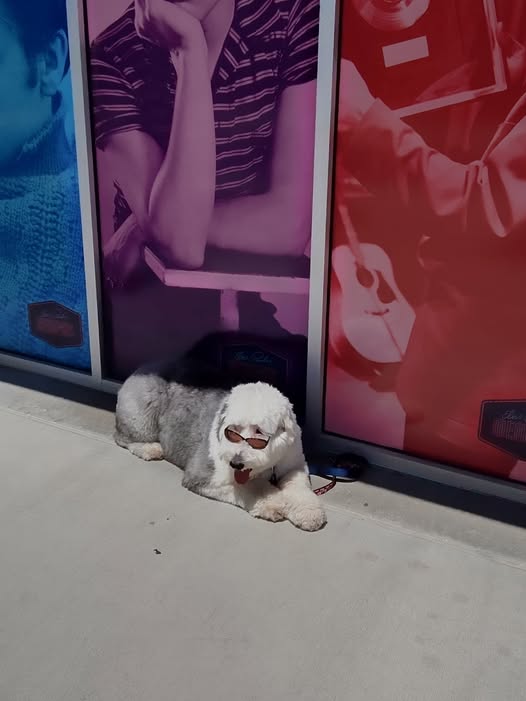 Bindi at Graceland